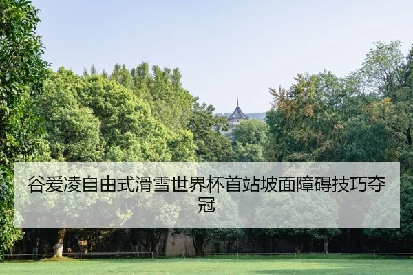 gu-ai-ling-zi-you-shi-hua-xue-shi-jie-bei-shou-zhan-po-mian-zhang-ai-ji-qiao-duo-guan-2-834.jpg