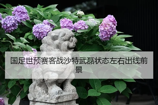 guo-zu-shi-yu-sai-ke-zhan-sha-te-wu-lei-zhuang-tai-zuo-you-chu-xian-qian-jing-3-158.jpg