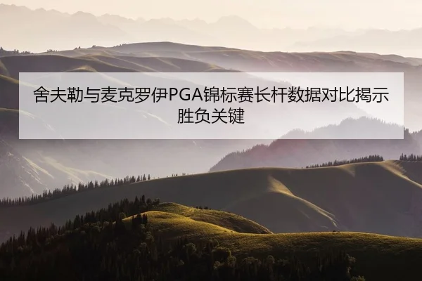 she-fu-lei-yu-mai-ke-luo-yi-jin-biao-sai-zhang-gan-shu-ju-dui-bi-jie-shi-sheng-fu-guan-jian-2-231.jpg