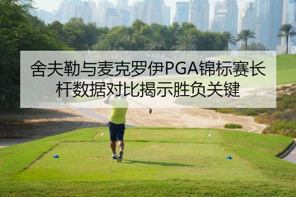 舍夫勒与麦克罗伊PGA锦标赛长杆数据对比揭示胜负关键