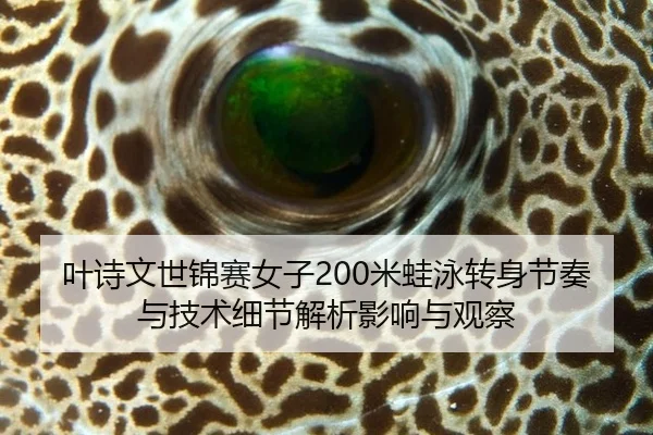 叶诗文世锦赛女子200米蛙泳转身节奏与技术细节解析影响与观察