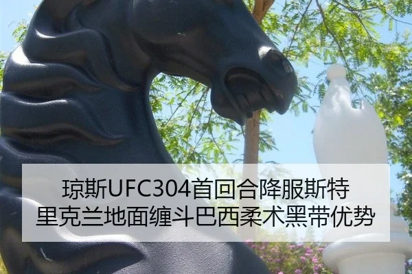 琼斯UFC304首回合降服斯特里克兰地面缠斗巴西柔术黑带优势