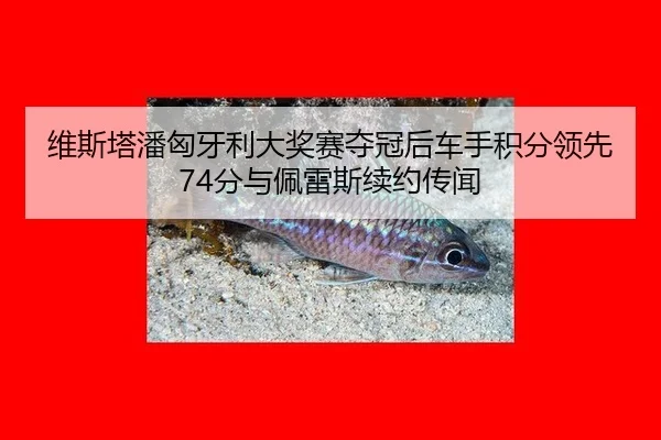 wei-si-ta-pan-xiong-ya-li-da-jiang-sai-duo-guan-hou-che-shou-ji-fen-ling-xian-fen-yu-pei-lei-si-xu-yue-chuan-wen-3-221.jpg