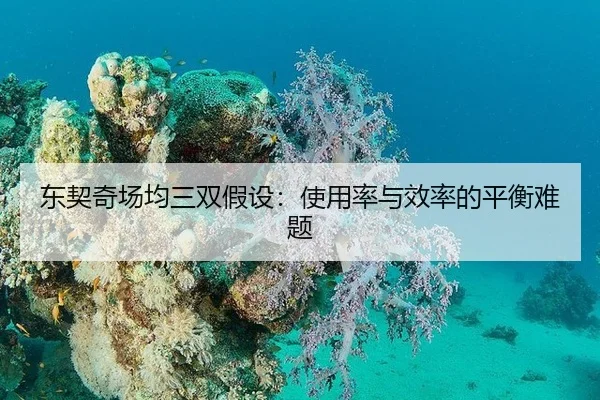 东契奇场均三双假设：使用率与效率的平衡难题